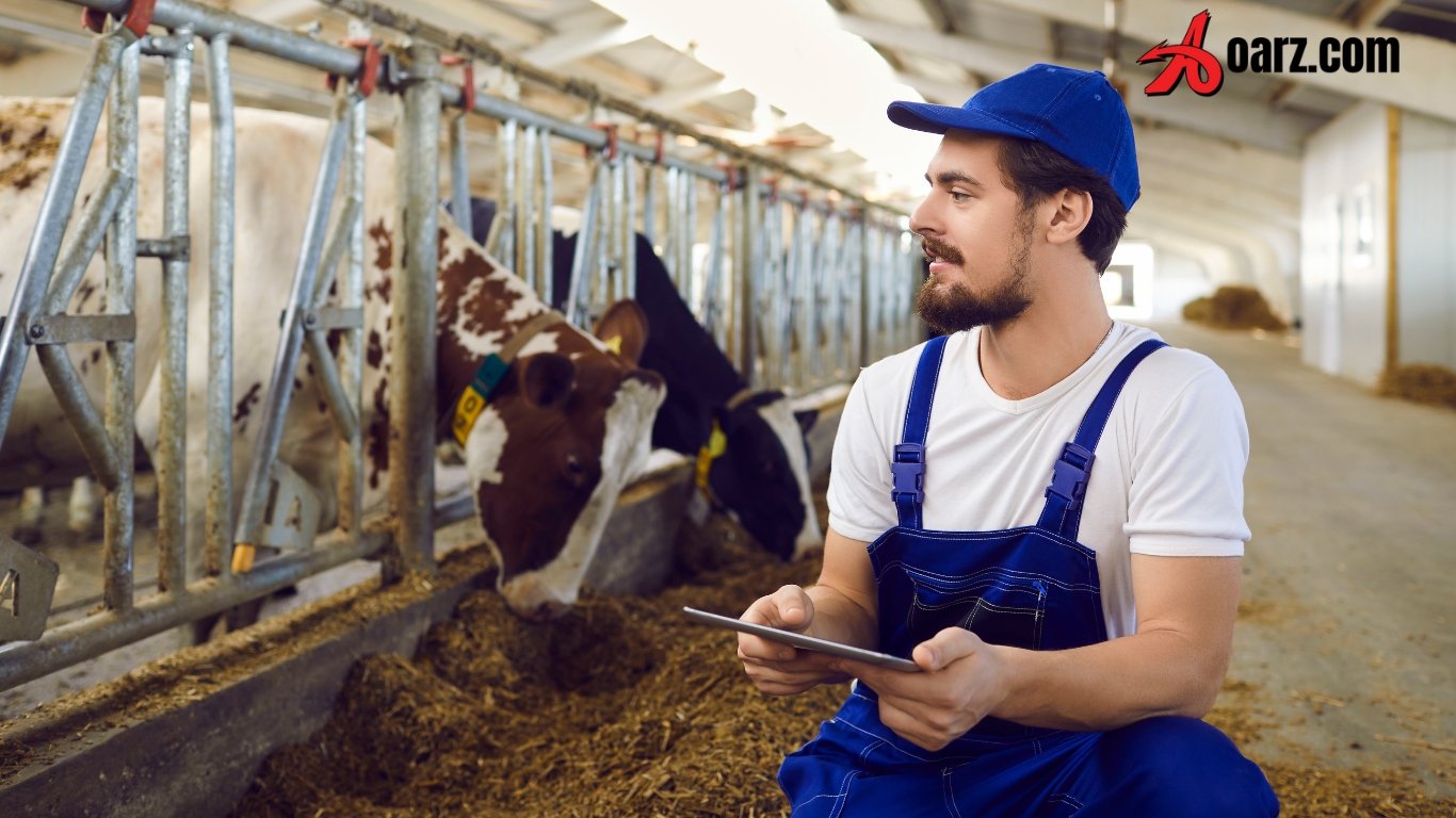 Dairy Farm Worker Jobs in Canada Male & Female